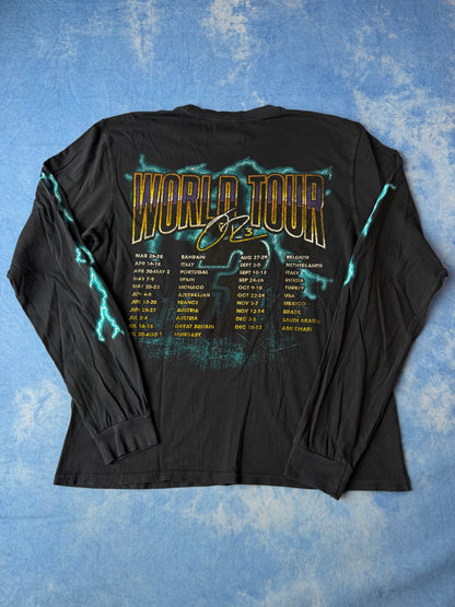 Longsleeve Daniel Ricciardo "Fastest Cars on Earth” 2021 M/L