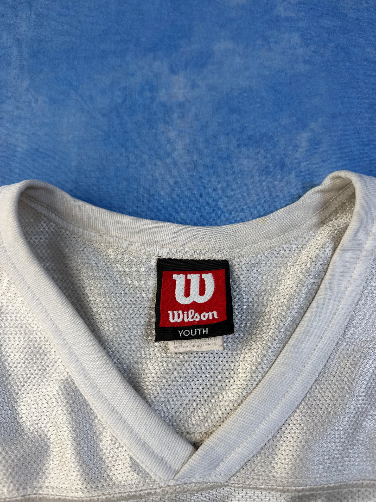 Jersey Wilson Panthers #39 Made in USA 90s S/XS