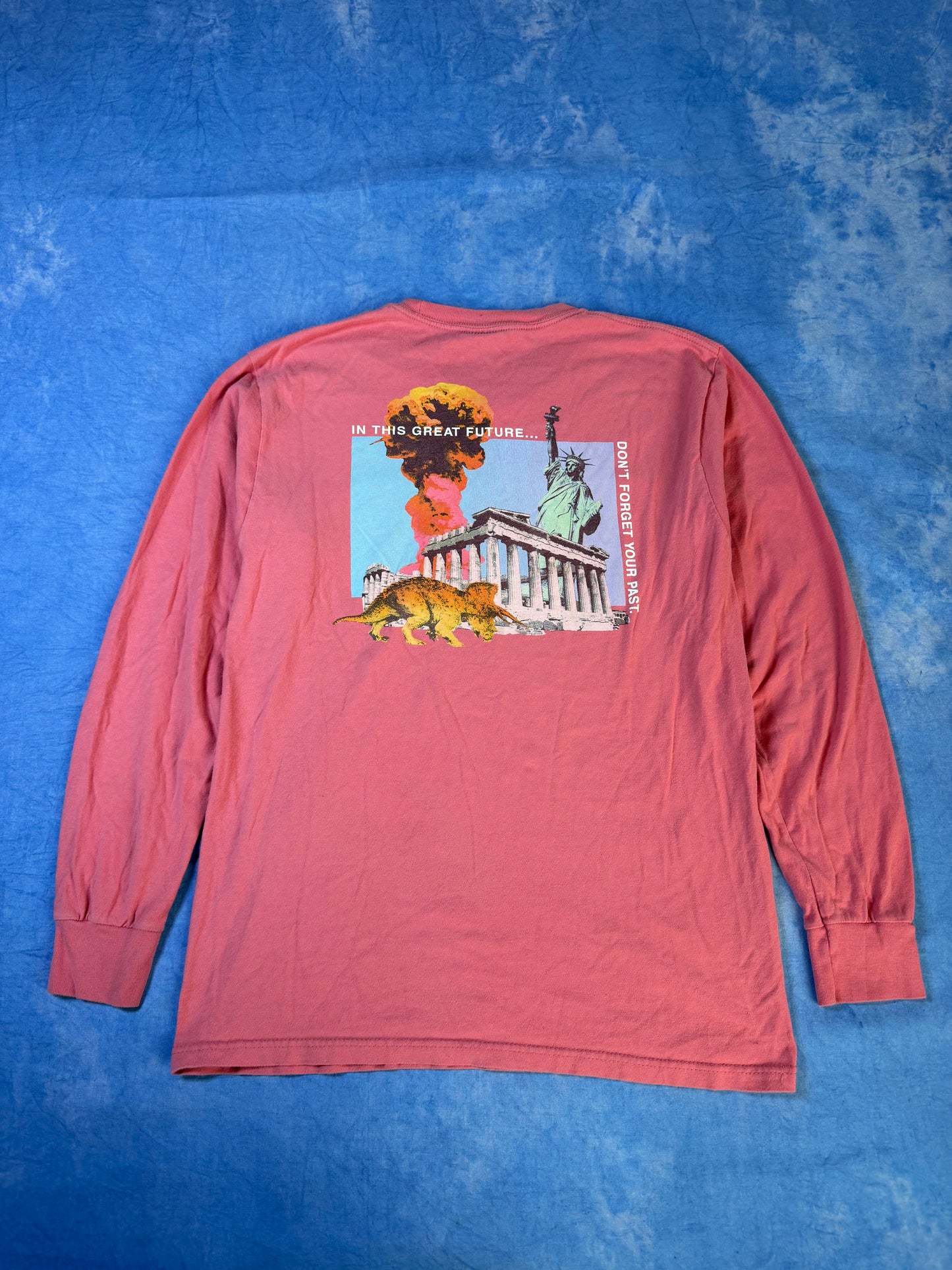 Longsleeve Stüssy In This Great Future M