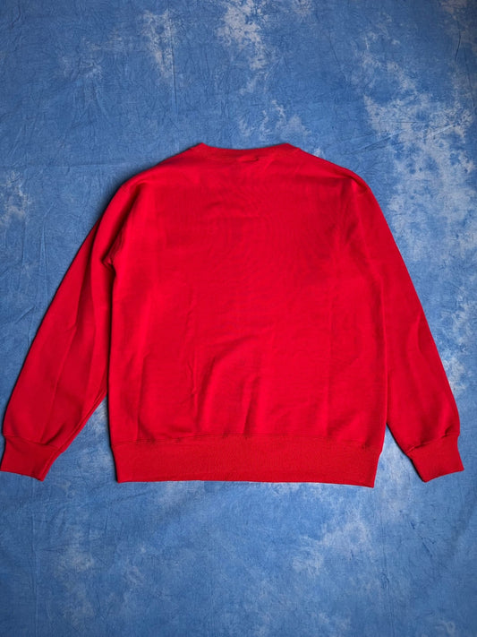 Bluza Champion x University of New Mexico 90s M | Piggy Boxer Vintage Shop