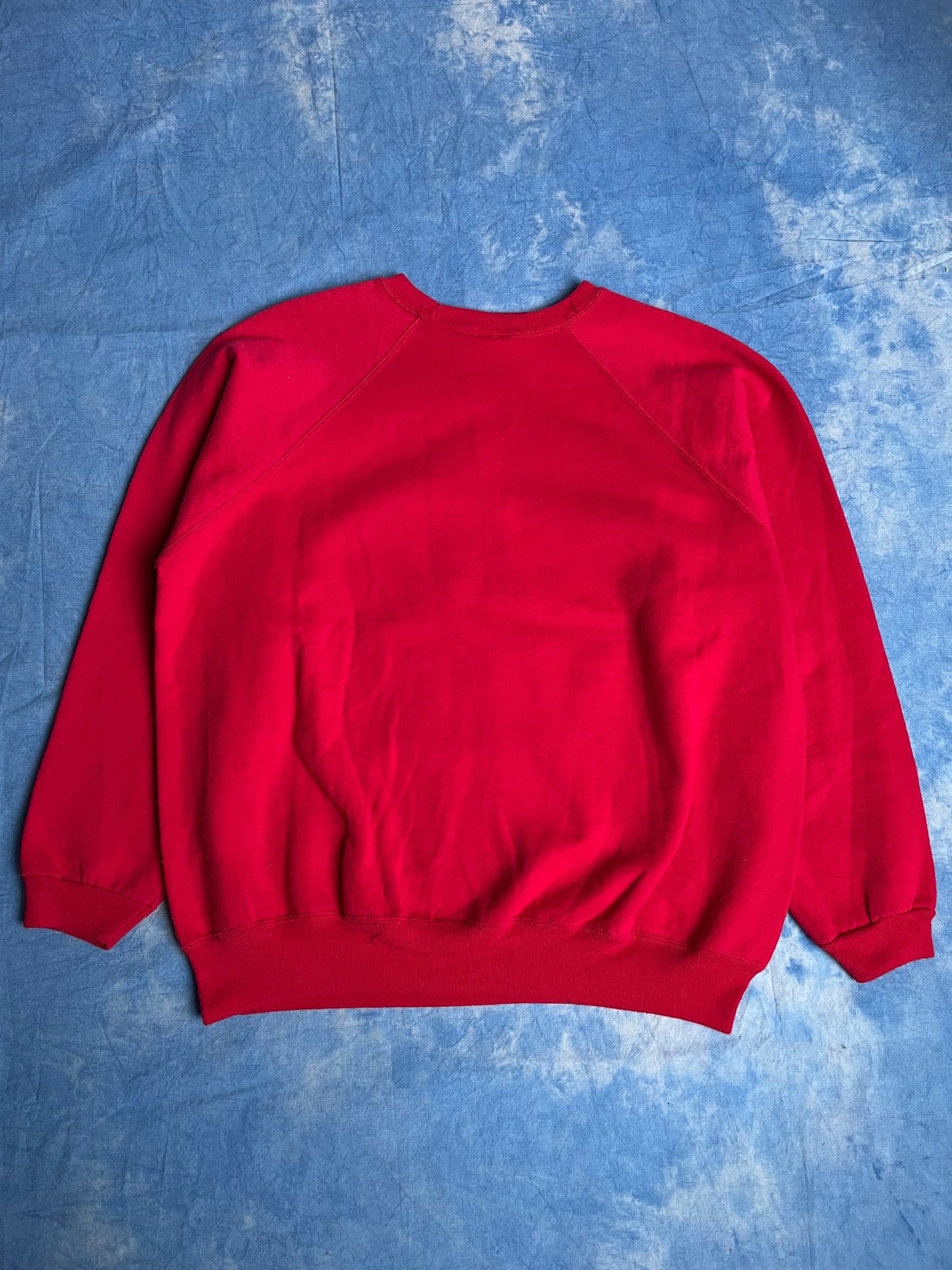 Bluza Hanes Florida, USA 90s L | Piggy Boxer Vintage Shop