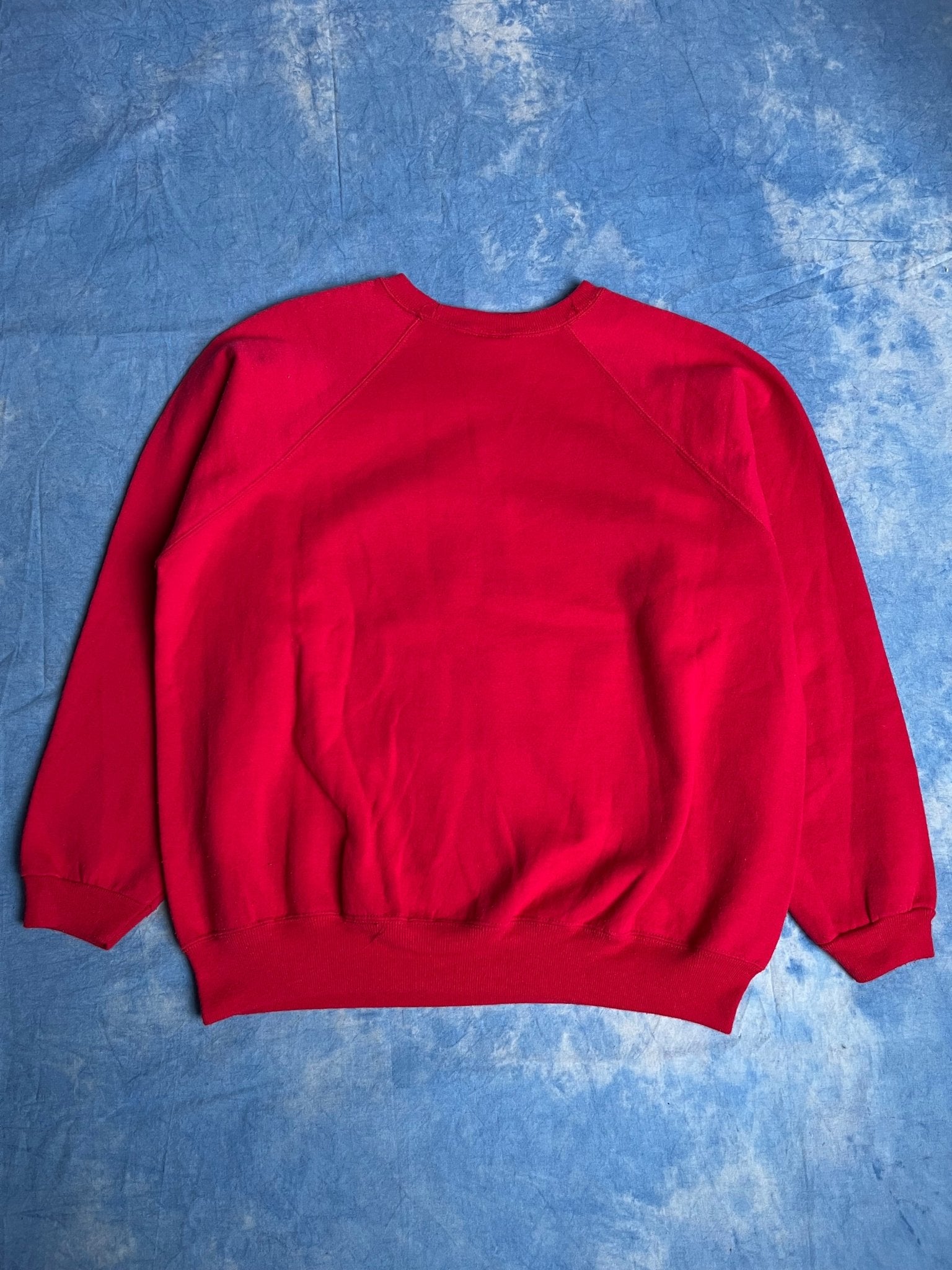 Bluza Hanes Florida, USA 90s L | Piggy Boxer Vintage Shop