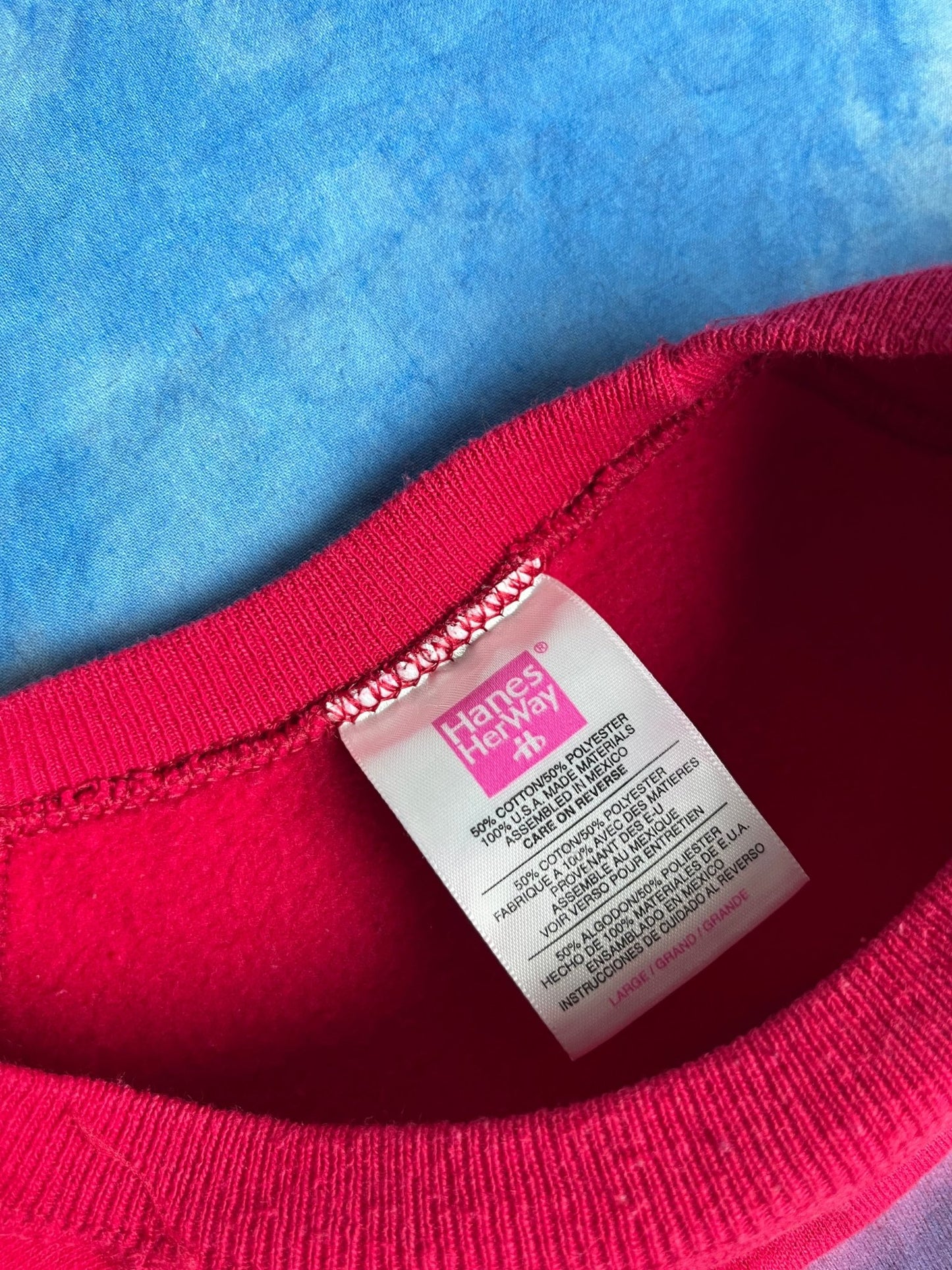 Bluza Hanes Florida, USA 90s L | Piggy Boxer Vintage Shop