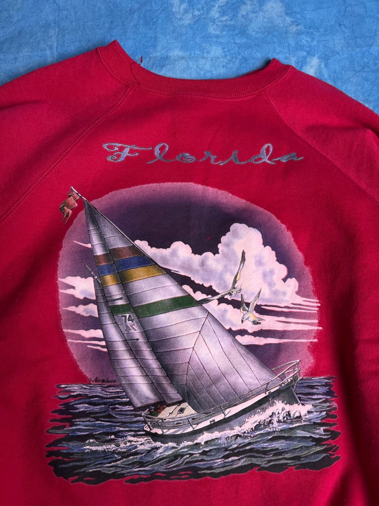 Bluza Hanes Florida, USA 90s L | Piggy Boxer Vintage Shop