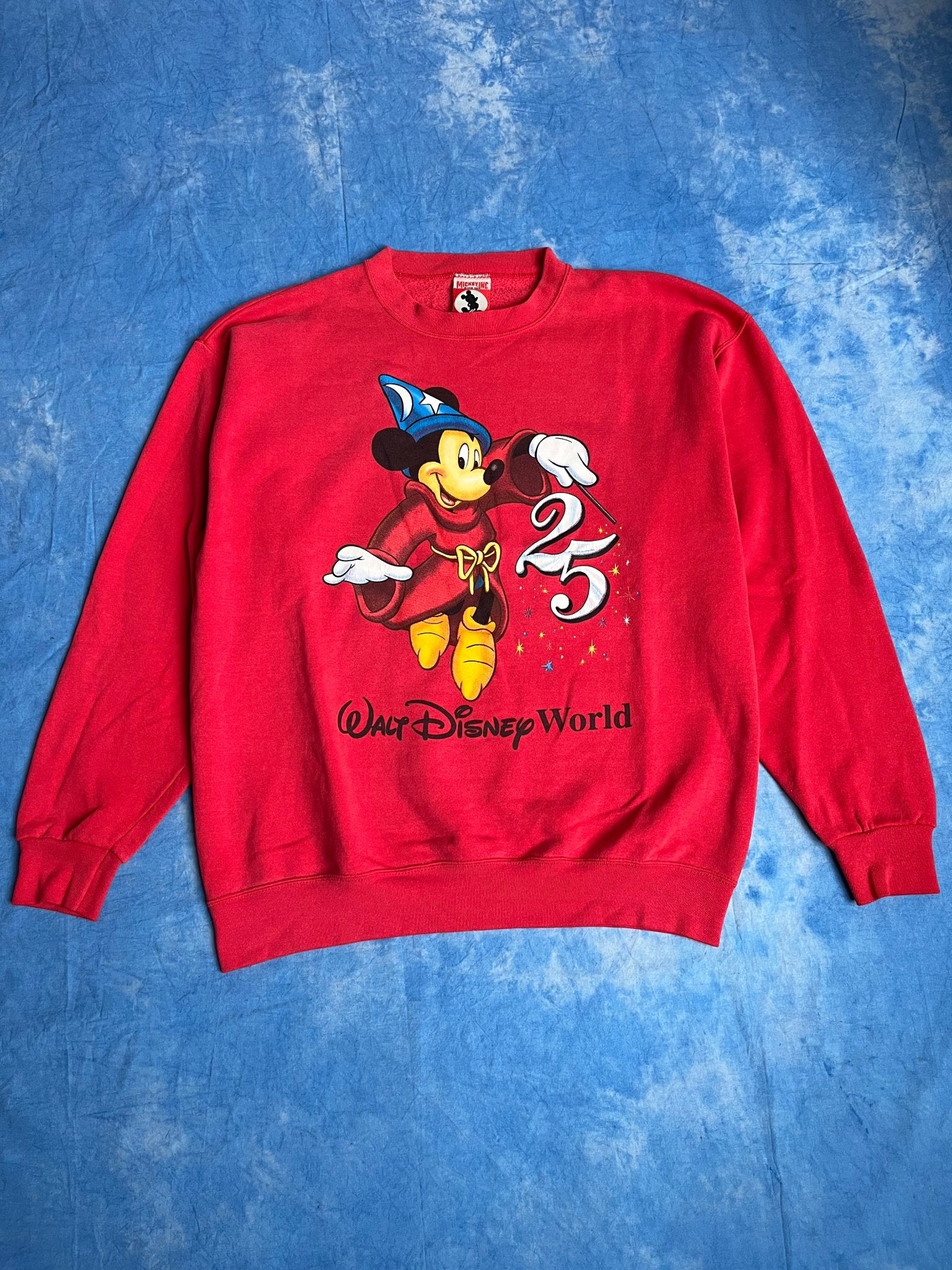 Bluza Walt Disney World 25th Anniversary 1996r L | Piggy Boxer Vintage Shop