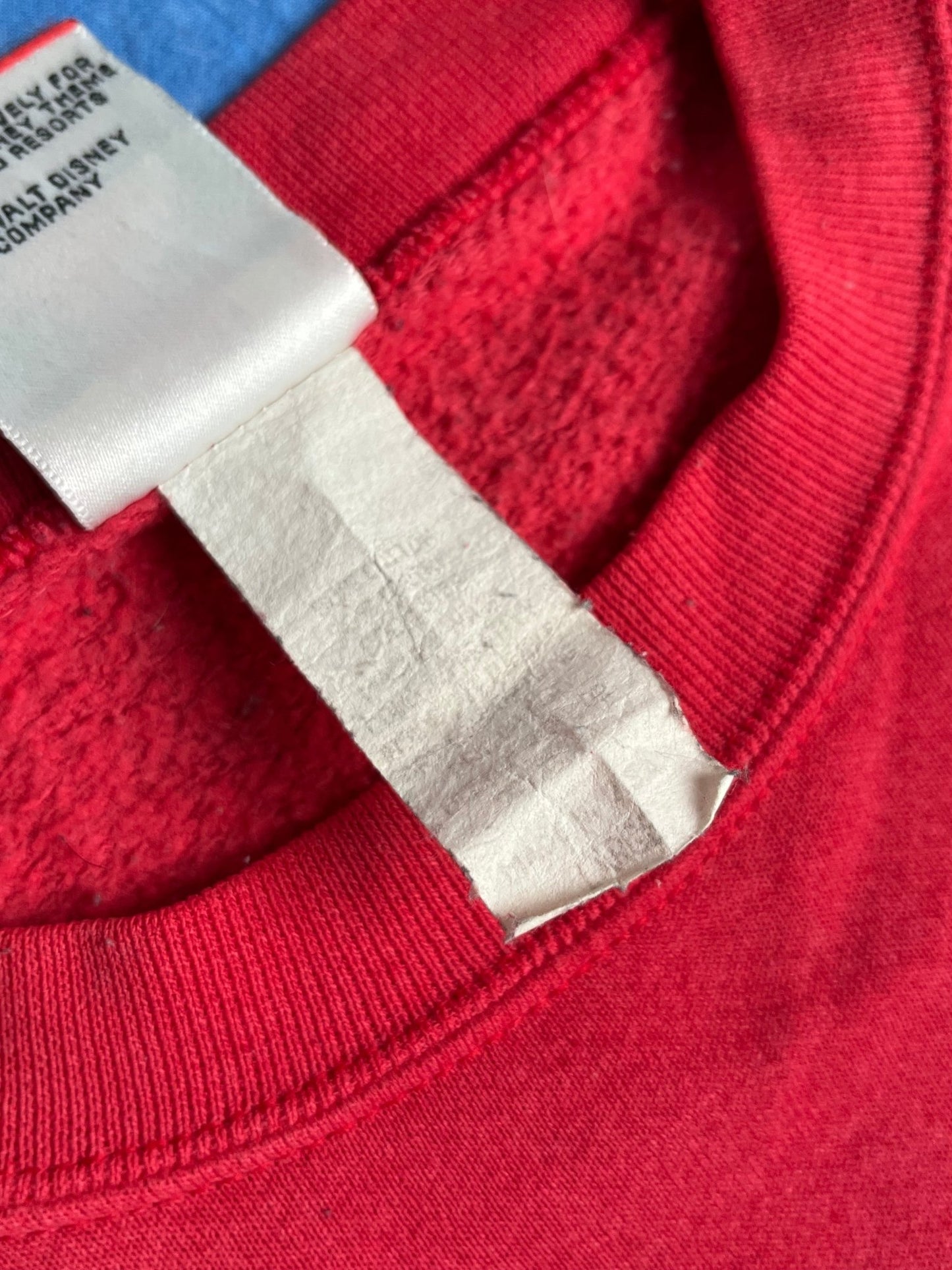 Bluza Walt Disney World 25th Anniversary 1996r L | Piggy Boxer Vintage Shop