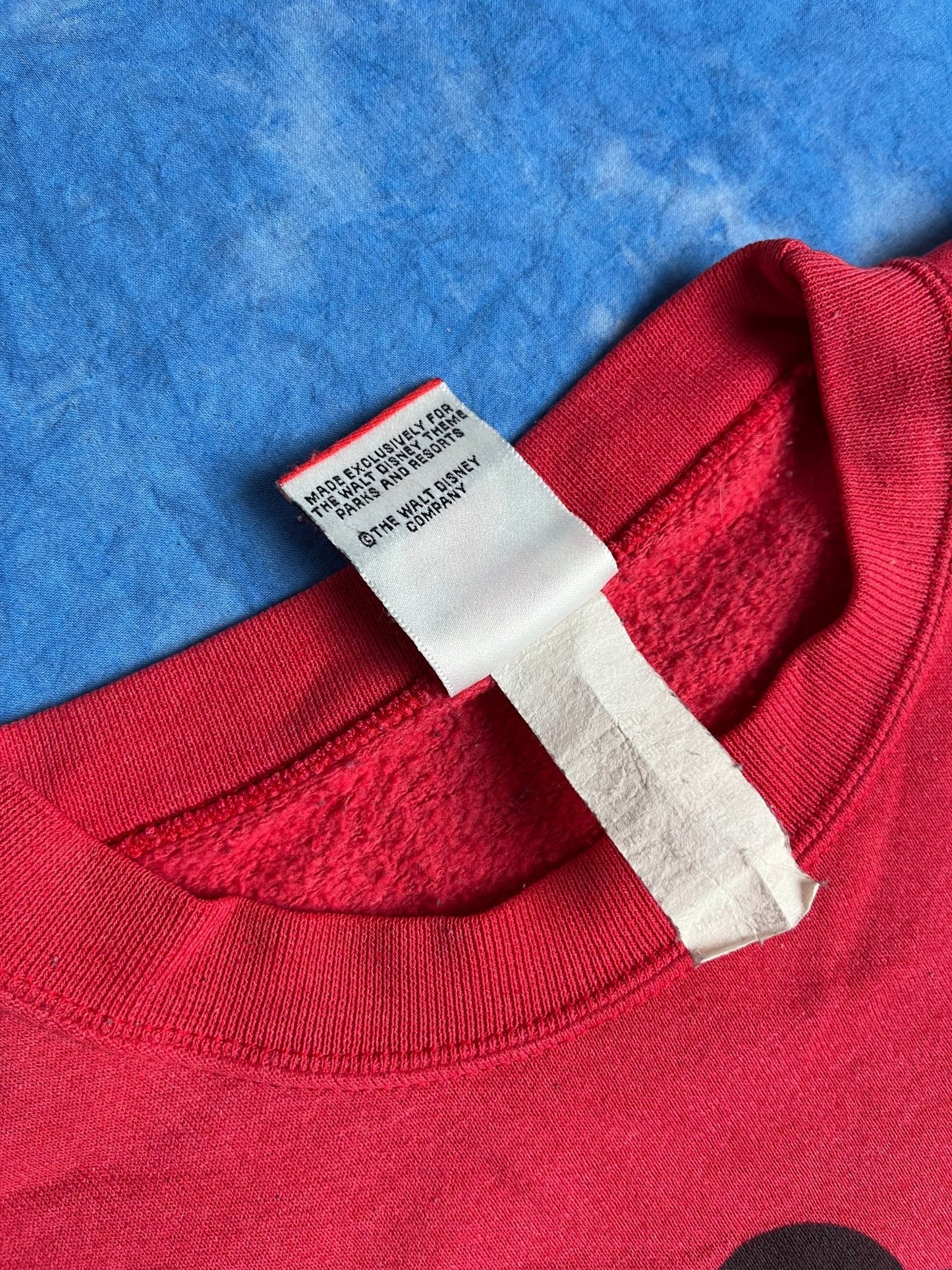 Bluza Walt Disney World 25th Anniversary 1996r L | Piggy Boxer Vintage Shop