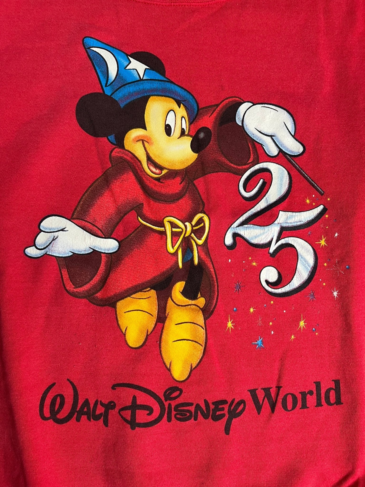 Bluza Walt Disney World 25th Anniversary 1996r L | Piggy Boxer Vintage Shop