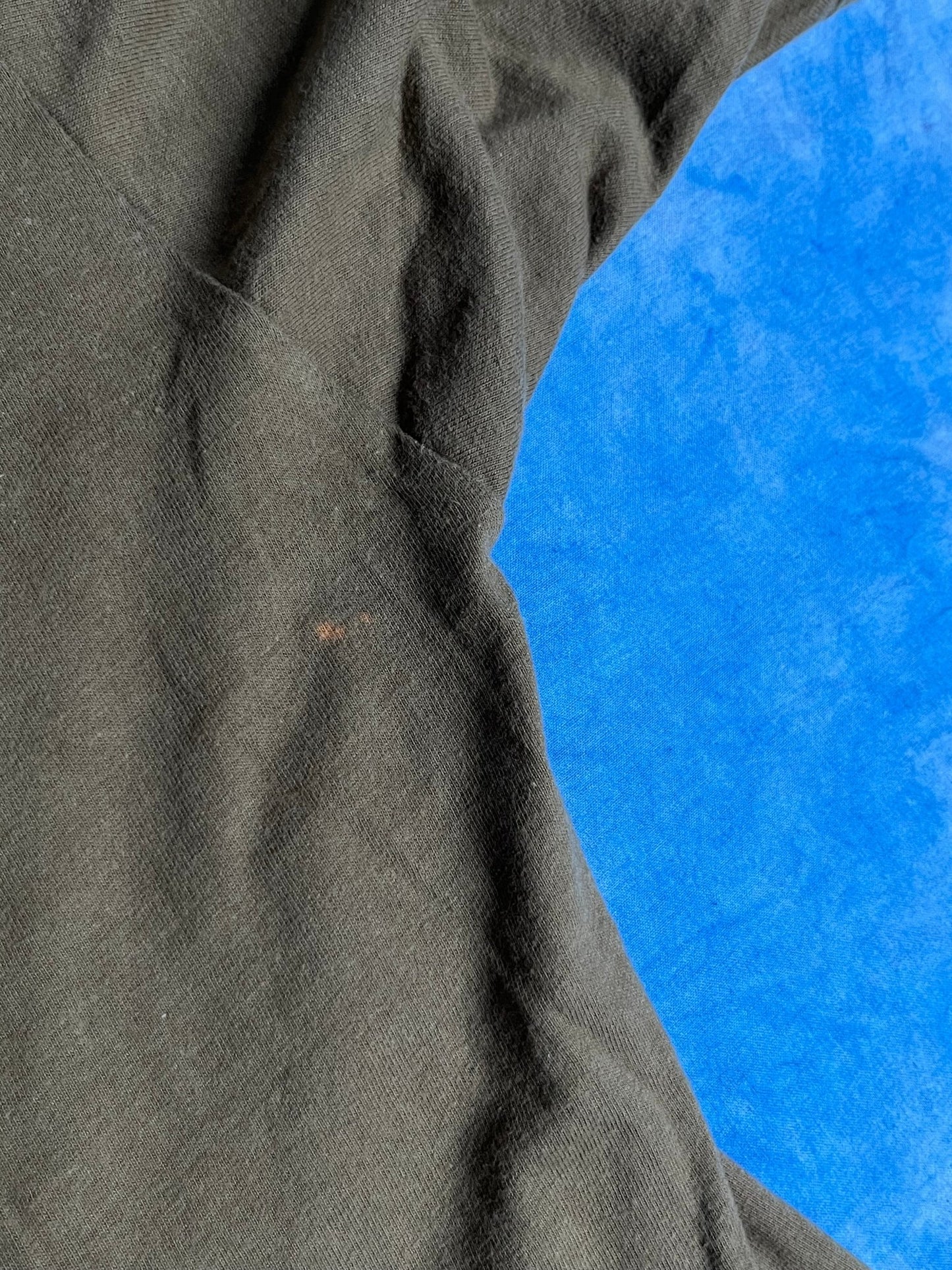 Koszulka Nutmeg NBA Charlotte Hornets 90s XL | Piggy Boxer Vintage Shop