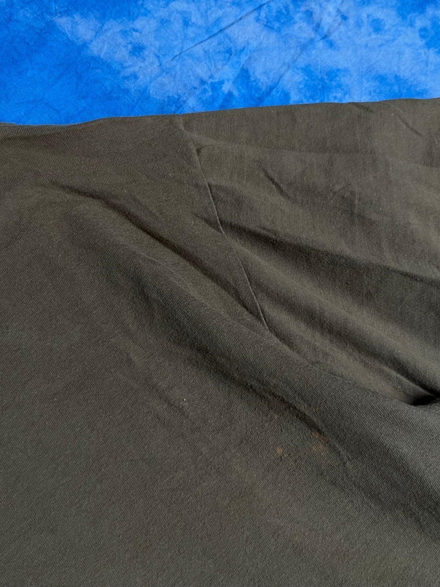 Koszulka Nutmeg NBA Charlotte Hornets 90s XL | Piggy Boxer Vintage Shop