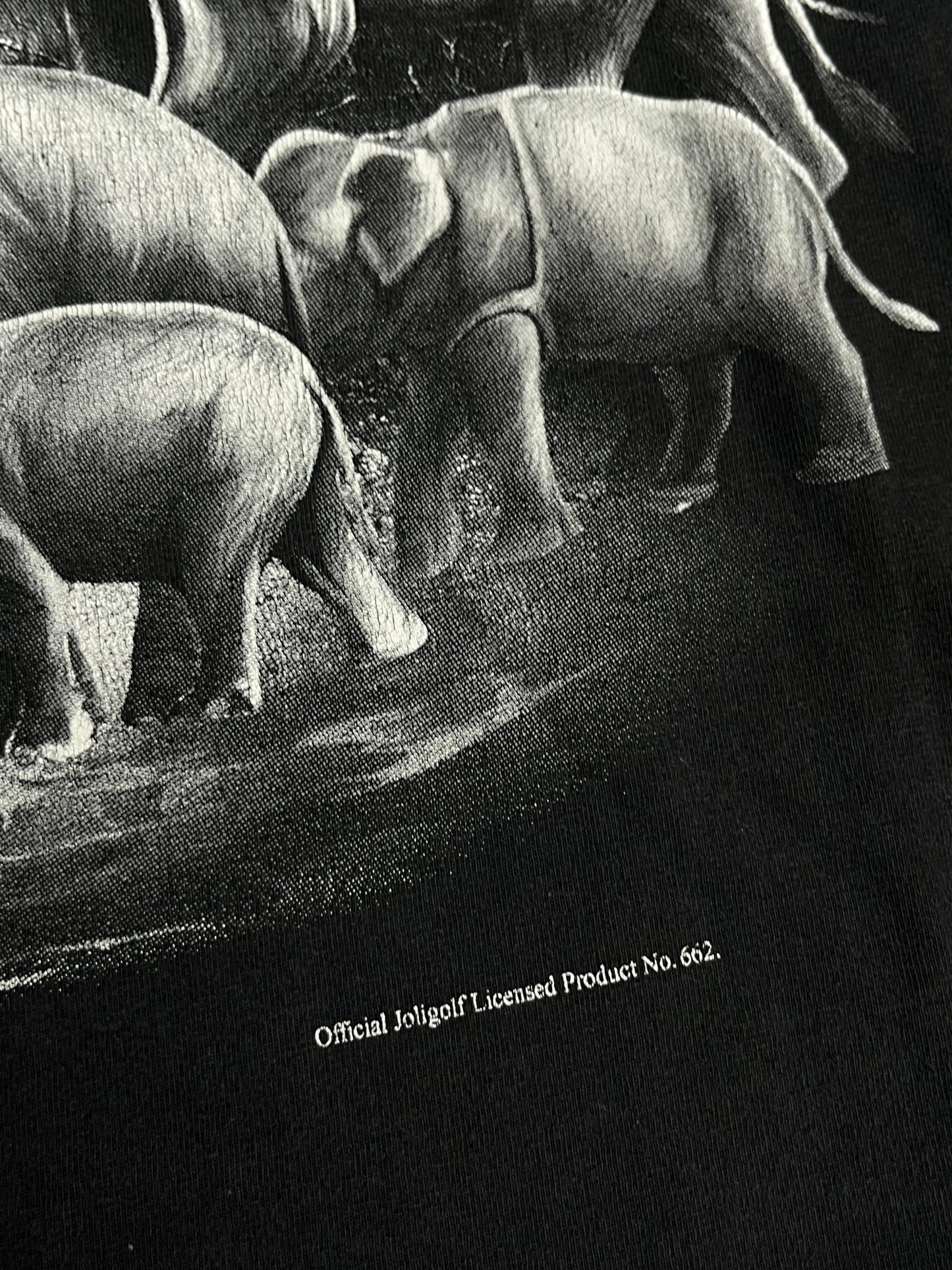 Koszulka Thailand The Kingdom of Elephants 00s M | Piggy Boxer Vintage Shop