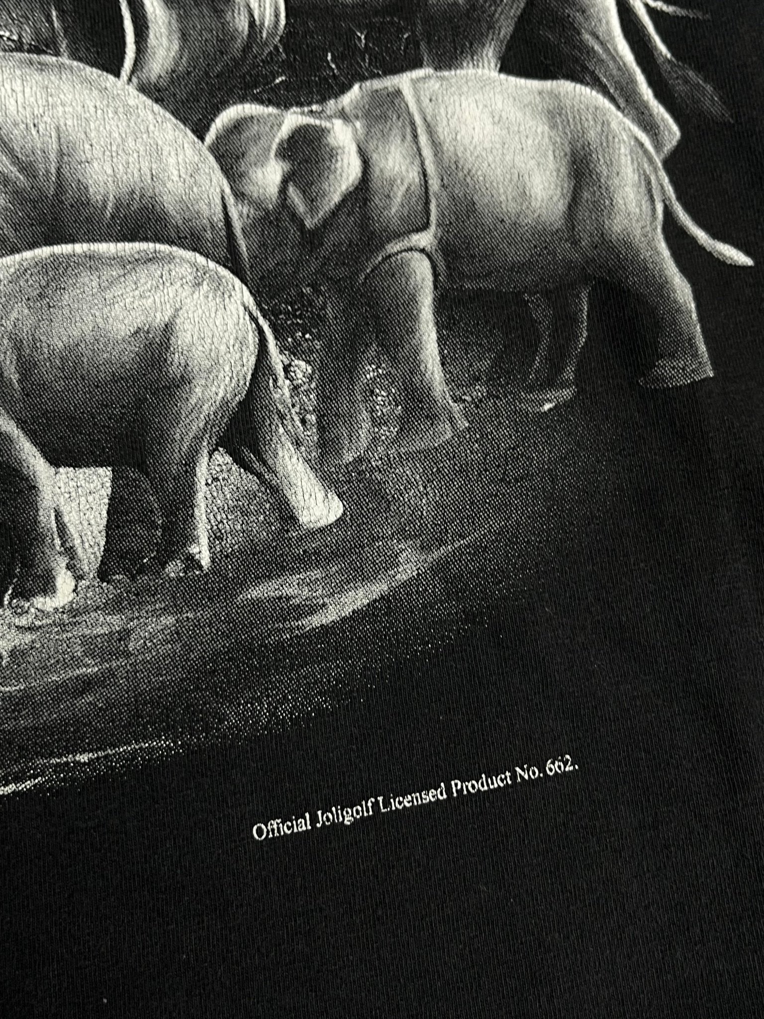 Koszulka Thailand The Kingdom of Elephants 00s M | Piggy Boxer Vintage Shop