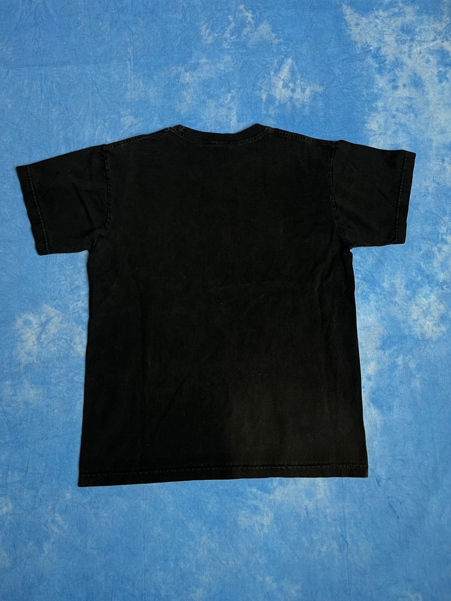 Koszulka Thailand The Kingdom of Elephants 00s M | Piggy Boxer Vintage Shop