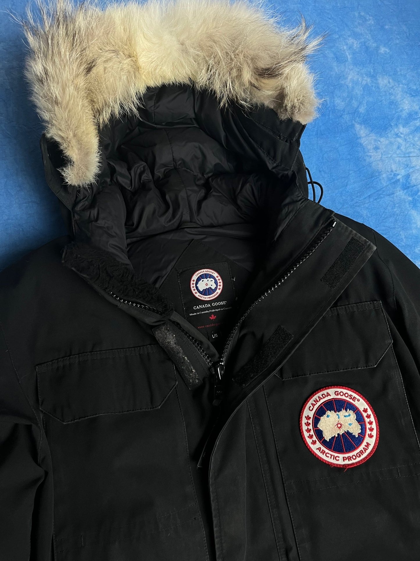 Kurtka Puchowa Canada Goose Expedition Parka L | Piggy Boxer Vintage Shop