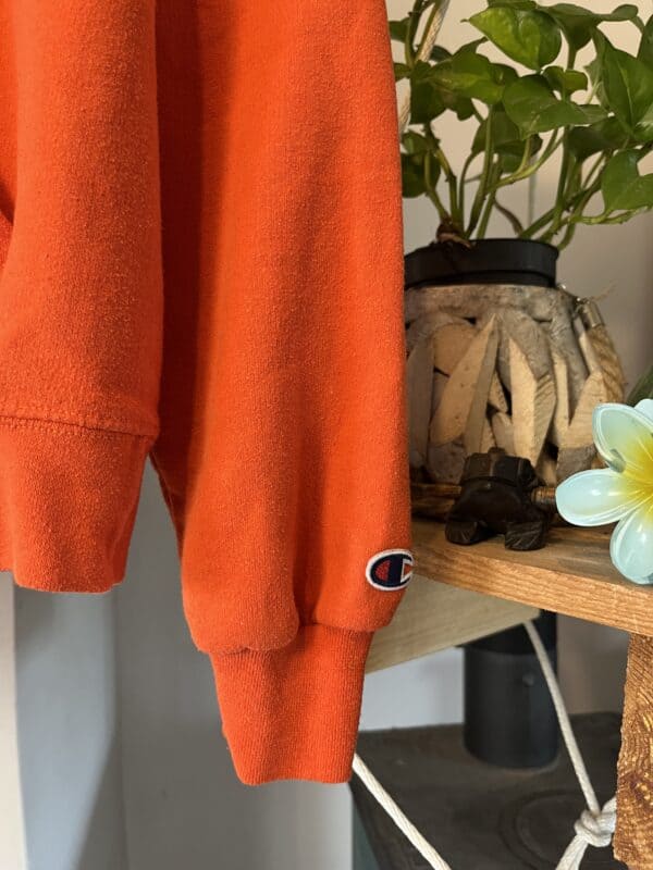 Hoodie Champion Eco - obrazek 5