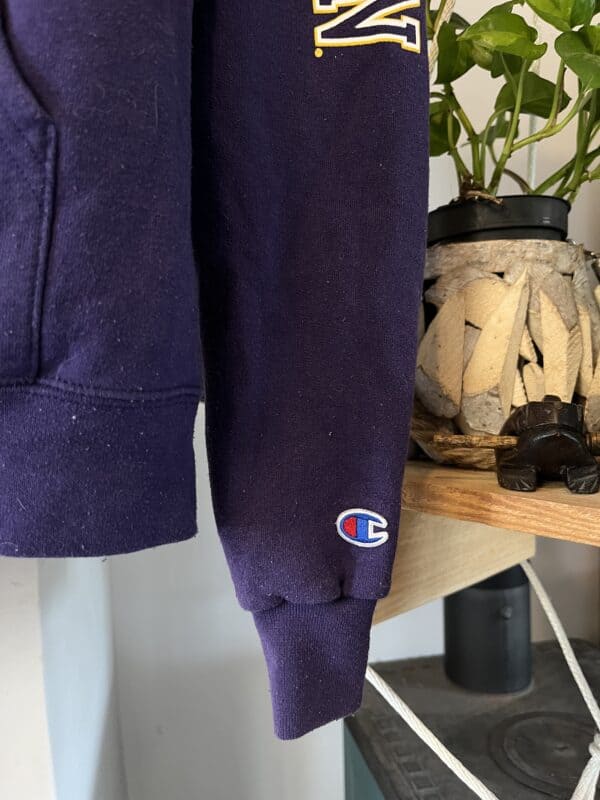 Hoodie Champion University Washington Huskies - obrazek 6
